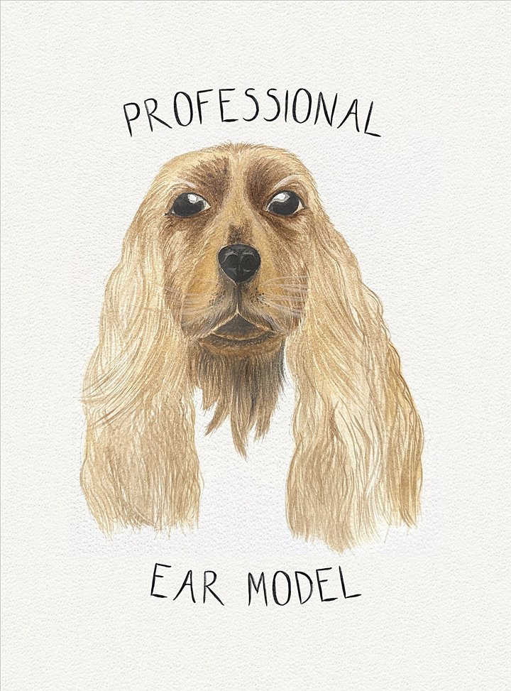 Framed cocker spaniel watercolour print