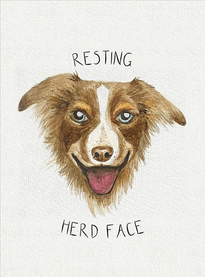 Framed border collie watercolour print