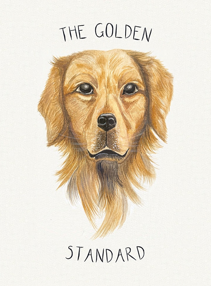 Framed golden retriever watercolour print